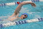 Swimming & Diving vs RWU  Swimming & Diving vs Roger Williams University. - Photo by Keith Nordstrom : Wheaton, Swimming